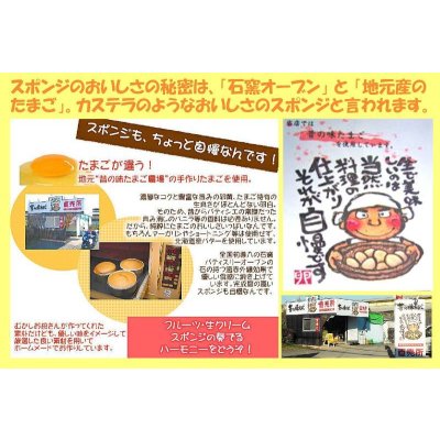 画像11: チョコレートアイスケーキ４号
