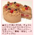 画像3: クリスマスフルーツチョコレートケーキ６号