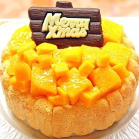 クリスマスケーキ マンゴーアイスケーキ５号