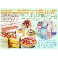 画像9: クリスマスケーキ チョコレートアイスケーキ６号