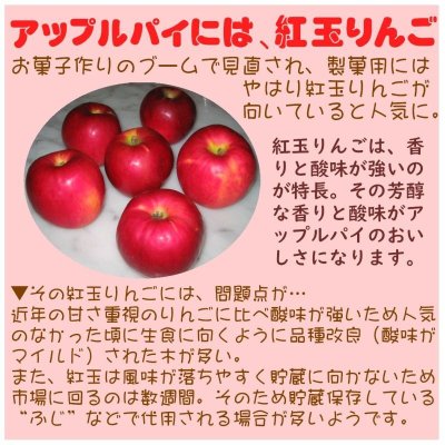画像3: 【店頭渡し】紅玉りんごのアップルパイ 5号 ＜予約のみ＞