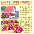 画像4: 【店頭渡し】紅玉りんごのアップルパイ 6.5号 ＜予約のみ＞ (4)