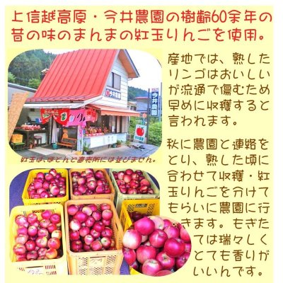 画像4: 【店頭渡し】紅玉りんごのアップルパイ 6.5号 ＜予約のみ＞