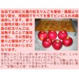 画像4: 【店頭渡し】紅玉りんごのアップルパイ（１カット）「11月のみ」 (4)