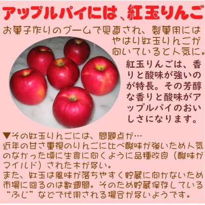 画像3: 【店頭渡し】紅玉りんごのアップルパイ（１カット）「11月のみ」