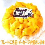 マンゴーアイスケーキ６号