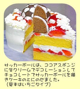 サッカーボールケーキ５号フルーツ サッカーボールの立体デコレーションケーキ５号 フルーツ