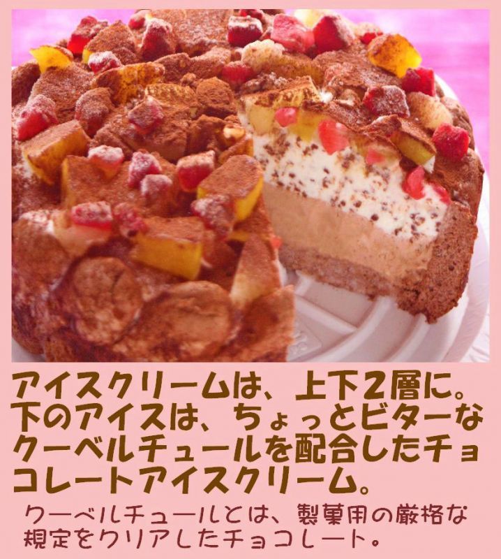 クリスマス生乳チョコアイスケーキ６号