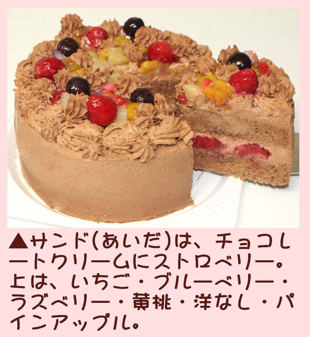 クリスマスケーキ フルーツチョコレートケーキ７号